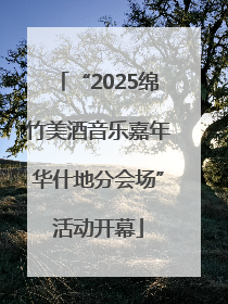 “2025绵竹美酒音乐嘉年华什地分会场”活动开幕