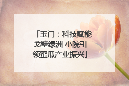 玉门：科技赋能戈壁绿洲 小院引领蜜瓜产业振兴