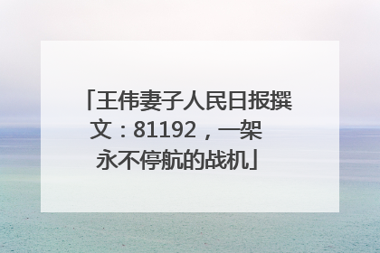 王伟妻子人民日报撰文：81192，一架永不停航的战机