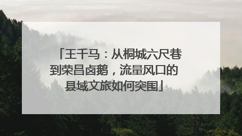 王千马：从桐城六尺巷到荣昌卤鹅，流量风口的县域文旅如何突围