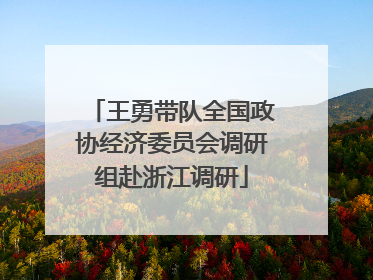 王勇带队全国政协经济委员会调研组赴浙江调研