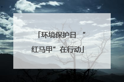 环境保护日 “红马甲”在行动