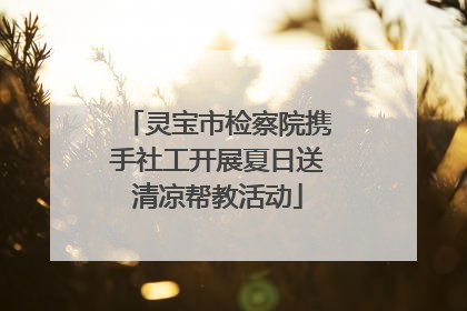 灵宝市检察院携手社工开展夏日送清凉帮教活动