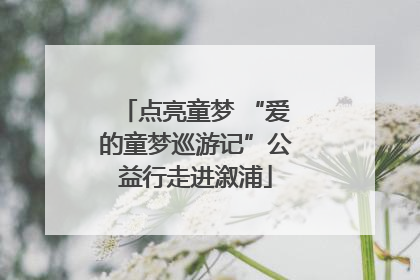 点亮童梦 “爱的童梦巡游记”公益行走进溆浦
