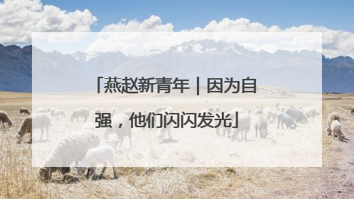 燕赵新青年｜因为自强，他们闪闪发光