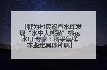 犍为村民巡查水库发现“水中大熊猫”桃花水母 专家：将采集样本鉴定具体种属