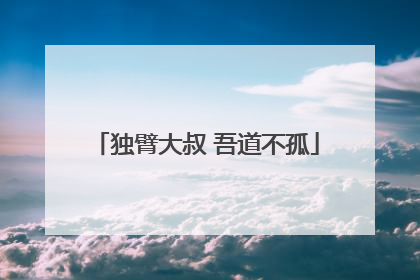 独臂大叔 吾道不孤