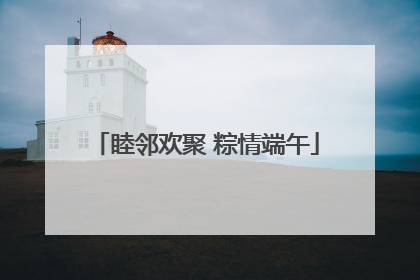 睦邻欢聚 粽情端午