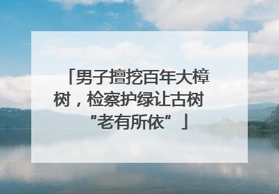 男子擅挖百年大樟树，检察护绿让古树“老有所依”