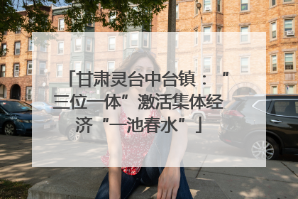 甘肃灵台中台镇：“三位一体”激活集体经济“一池春水”