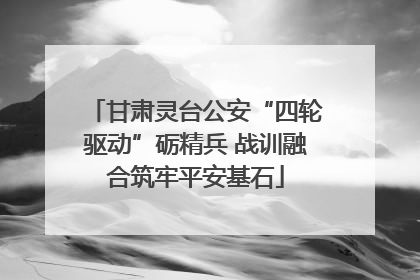 甘肃灵台公安“四轮驱动”砺精兵 战训融合筑牢平安基石
