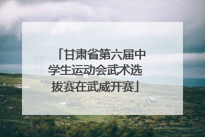 甘肃省第六届中学生运动会武术选拔赛在武威开赛
