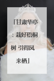 甘肃华亭：栽好梧桐树 引得凤来栖
