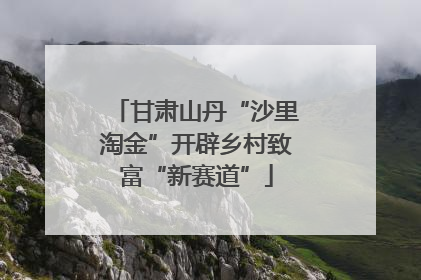 甘肃山丹“沙里淘金”开辟乡村致富“新赛道”