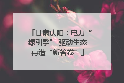 甘肃庆阳：电力“绿引擎” 驱动生态再造“新答卷”