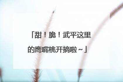 甜！脆！武平这里的鹰嘴桃开摘啦～