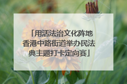 用活法治文化阵地 香港中路街道举办民法典主题打卡定向赛