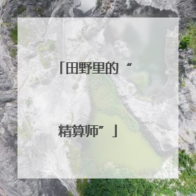 田野里的“精算师”