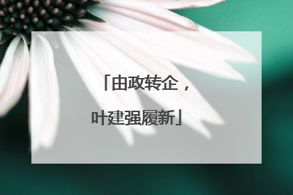 由政转企，叶建强履新
