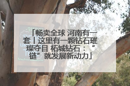 畅卖全球 河南有一套丨这里有一颗钻石璀璨夺目 柘城钻石：“链”就发展新动力