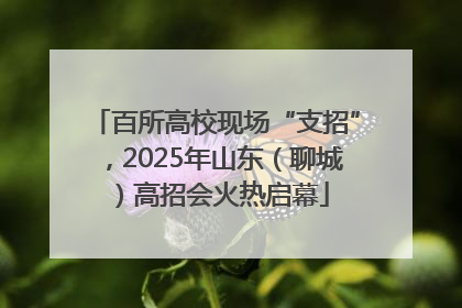 百所高校现场“支招”，2025年山东（聊城）高招会火热启幕