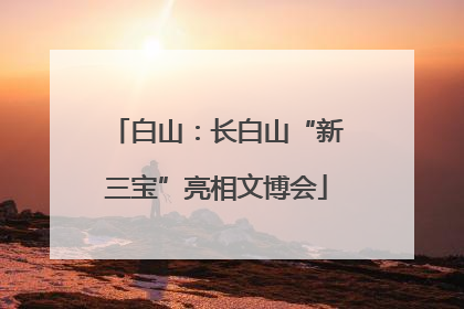 白山：长白山“新三宝”亮相文博会
