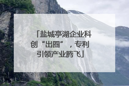 盐城亭湖企业科创“出圈”，专利引领产业腾飞
