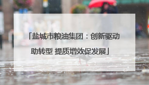 盐城市粮油集团：创新驱动助转型 提质增效促发展