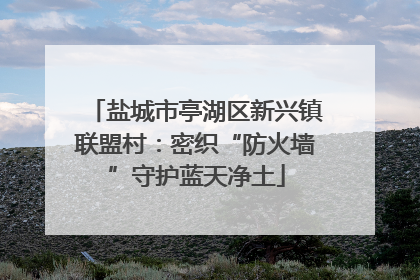盐城市亭湖区新兴镇联盟村：密织“防火墙”守护蓝天净土