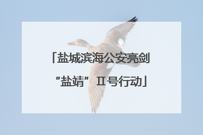 盐城滨海公安亮剑“盐靖”Ⅱ号行动