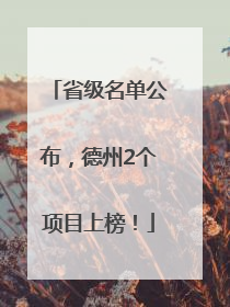 省级名单公布，德州2个项目上榜！