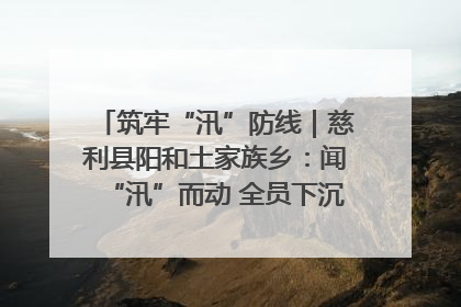 筑牢“汛”防线｜慈利县阳和土家族乡：闻“汛”而动 全员下沉筑牢防汛“安全堤”