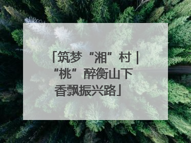 筑梦“湘”村｜“桃”醉衡山下 香飘振兴路