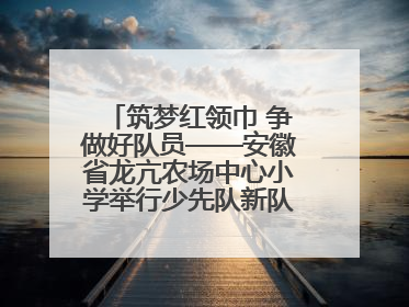 筑梦红领巾 争做好队员——安徽省龙亢农场中心小学举行少先队新队员入队仪式
