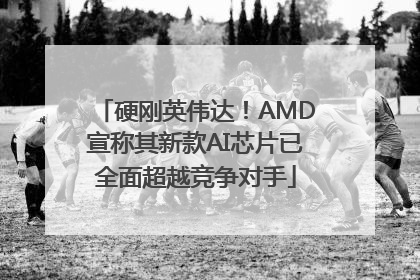 硬刚英伟达！AMD宣称其新款AI芯片已全面超越竞争对手