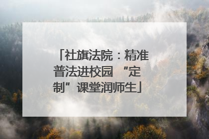 社旗法院：精准普法进校园 “定制”课堂润师生