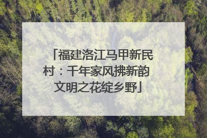 福建洛江马甲新民村：千年家风拂新韵 文明之花绽乡野