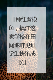 种红薯摸鱼，镇江这家学校在田间池畔见证学生快乐成长