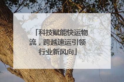 科技赋能快运物流，跨越速运引领行业新风向