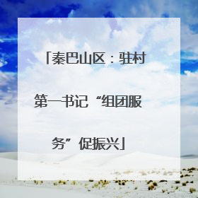 秦巴山区：驻村第一书记“组团服务”促振兴