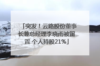 突发！云路股份董事长兼总经理李晓雨被留置 个人持股21%