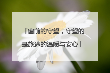 窗前的守望，守望的是旅途的温暖与安心