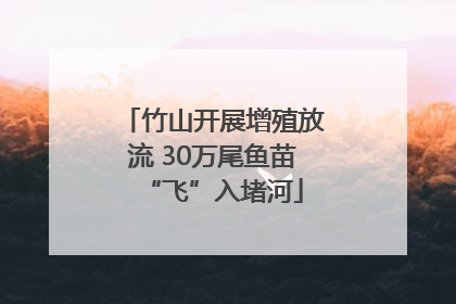 竹山开展增殖放流 30万尾鱼苗“飞”入堵河