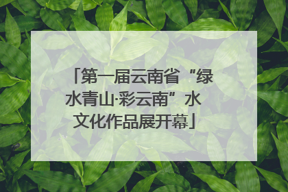 第一届云南省“绿水青山·彩云南”水文化作品展开幕