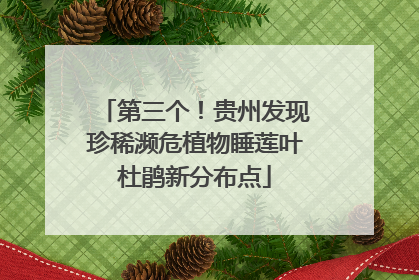 第三个！贵州发现珍稀濒危植物睡莲叶杜鹃新分布点