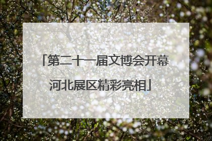 第二十一届文博会开幕 河北展区精彩亮相