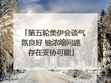 第五轮美伊会谈气氛良好 铀浓缩问题存在妥协可能