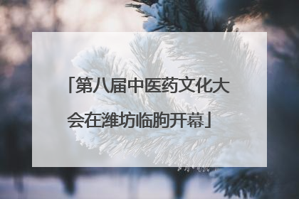 第八届中医药文化大会在潍坊临朐开幕