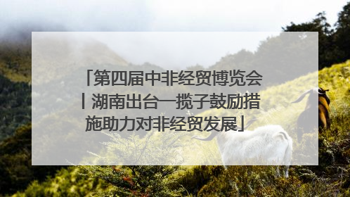 第四届中非经贸博览会丨湖南出台一揽子鼓励措施助力对非经贸发展