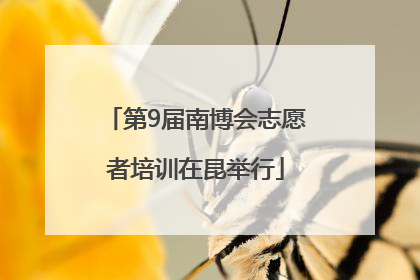 第9届南博会志愿者培训在昆举行